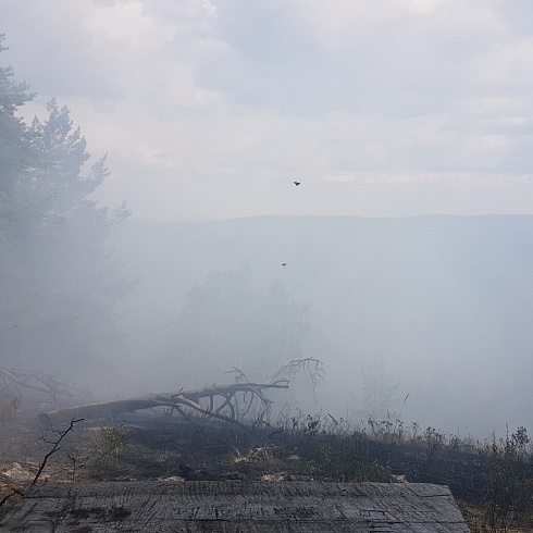 Ликвидация лесных и ландшафтных пожаров на Южном Урале